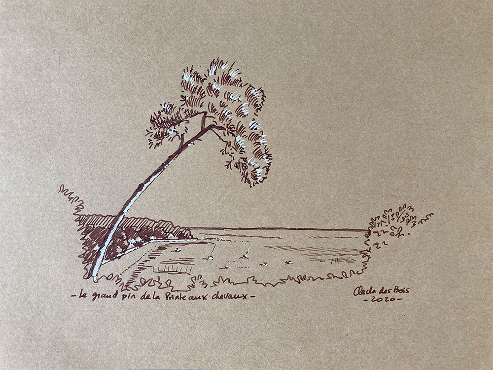 Dessin Pin Pointe Chevaux